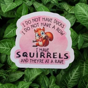 May include: A sticker with a cartoon squirrel and the text "I DO NOT HAVE DUCKS I DO NOT HAVE A ROW I HAVE SQUIRRELS AND THEY'RE AT A RAVE" in pink and black. The sticker is set against a background of green leaves.