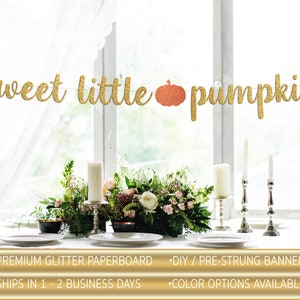 Sweet Little Pumpkin Glitter Banner | Baby Shower Banner Gold Sliver New Born Decor, Modern Baby Shower, Pregnancy Banner, Baby Announcement