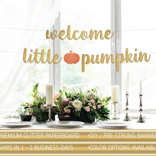 Welcome Little Pumpkin Banner, Little Pumpkin Baby Shower Decor, Pumpkin Shower Decor, Little Pumpkin Sign, Glitter banner