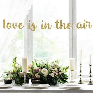 Love is in the Air, Love is in the Air Banner, Travel Bridal Shower, Travel Shower, glitter Banner, Blush and Gold, Love banner, airplane