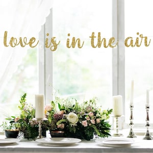 Love is in the Air, Love is in the Air Banner, Travel Bridal Shower, Travel Shower, glitter Banner, Blush and Gold, Love banner, airplane