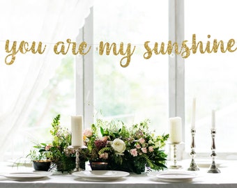 You Are My Sunshine Sign, you are my sunshine banner, baby shower banner, kid&#39;s birthday banner, glitter party decorations