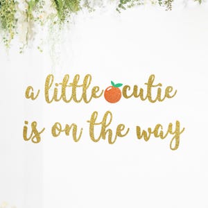 een klein schatje is onderweg banner, babyshower schatje, banner babyshower, aangepaste banner, glitterbanner, banner schatje, gender reveal party