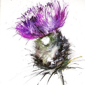 Scottish Expressive Thistle
