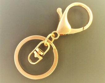 Carabiner keychain with golden color metal