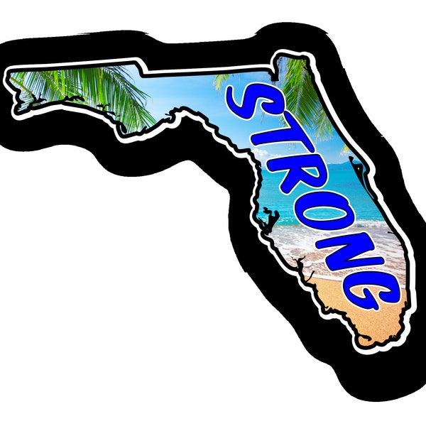 Florida Strong Car Truck Bumper Custom Print Sticker Vinyl Decal Graphic  FREE SHIPPING