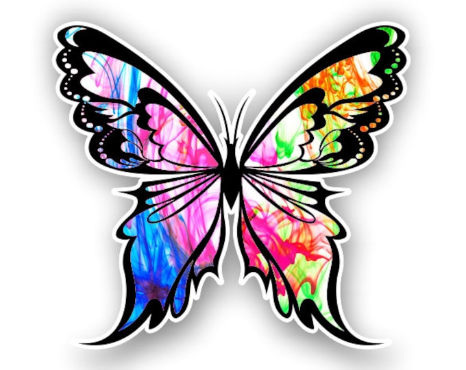 Color Burst Butterfly sticker / decal**Free Shipping**