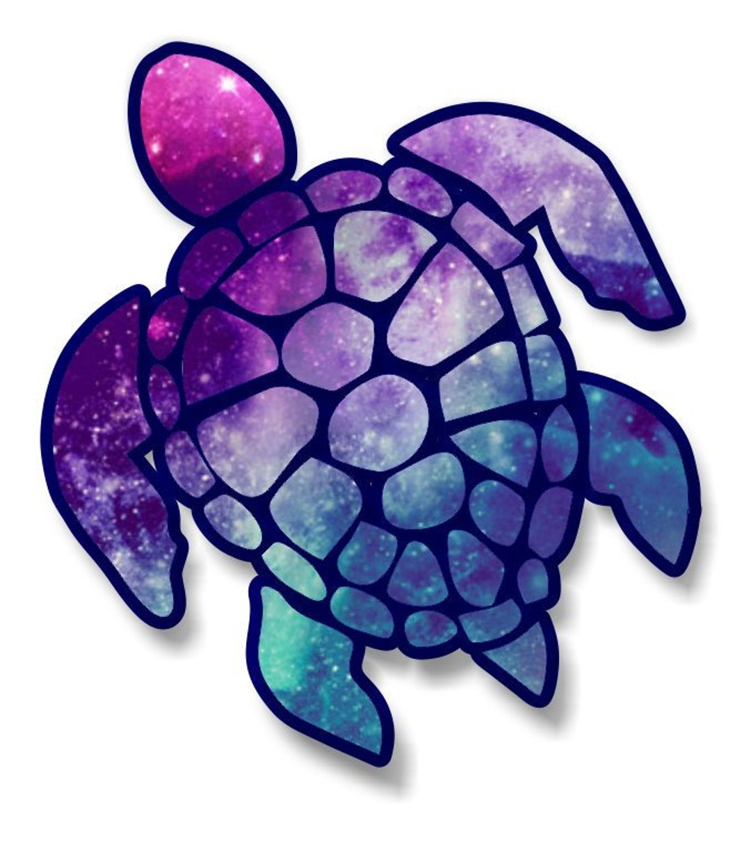 Sea Turtle 3