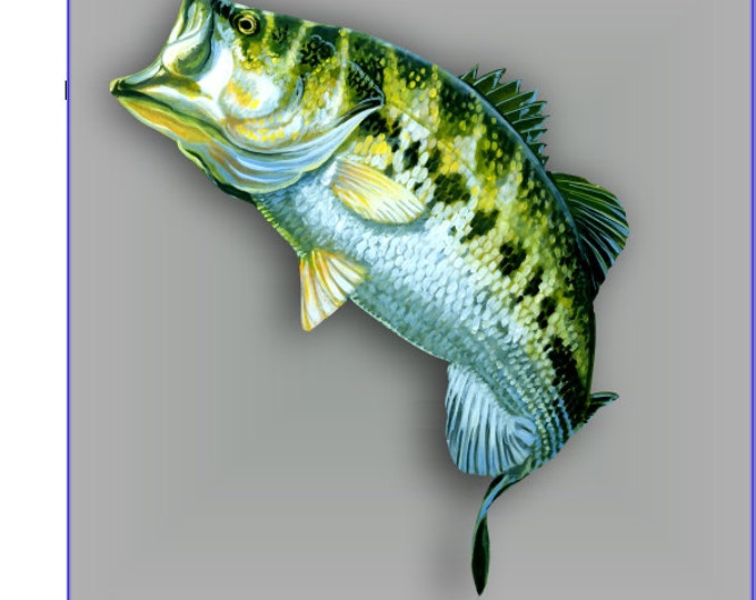 Largemouth bass sticker / decal **Free Shipping**