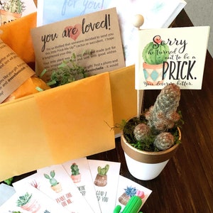 Mega Breakup Care Package Prick Pun, Separation Divorce Online Dating, with Eat a Bag of Pricks Candy, Plant Pun Stickers, Cactus Pen