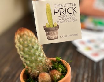 Sorry He Turned Out to Be a Prick, Cactus Pun Breakup Gift, Gift for  Divorce, Bad Break Up, Online Dating Sucks, Funny Care Package - Etsy