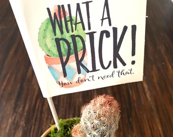 What a Prick, Cactus Breakup Gift, Prick Pun Funny Gift for Divorce, Breakup Care Package, Funny Break Up Gift for Friend