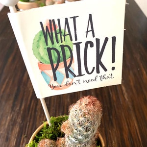 What a Prick, Cactus Breakup Gift, Prick Pun Funny Gift for Divorce, Breakup Care Package, Funny Break Up Gift for Friend