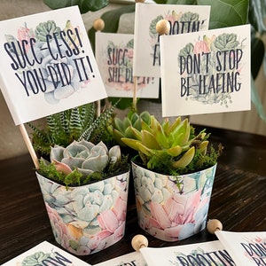 Graduation Succulent Favors, Wraps + Pun Tags, Grad Party Favors, Plant Puns, Graduation Favors, Succulent Theme, Customized Grad Favors