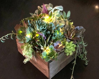 Holiday Succulent Arrangement with Fairy Lights and Personalized Tag, Live Plants Holiday Succulent Gift Box, Customized Tag