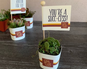 Grad Party Favors, Custom School Colors, Graduation Puns, Class of 2023, Succulent Favors, Junior High, High School, University Graduation