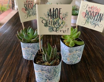 Succulent Baby Shower Favors with Wraps and Flag Tags, Plant Puns or Custom Verbiage, Custom Made Favors, Boho Baby Shower