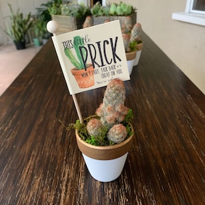 Breakup Prick in a Box, Cactus Pun Gift Box, Divorce Care Package, with Pun Stickers, Bad Break Up, Divorce Gift, Break Up Cactus image 1