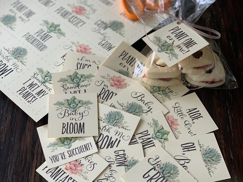May include: A collection of square paper tags featuring watercolor succulent illustrations and various plant-themed phrases like Baby in Bloom, Plant One on Me, and You're Succulent, with one tag attached to a clear plastic bag containing cookies.