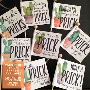 Breakup Prick in a Box, Cactus Pun Gift Box, Divorce Care Package, with Pun Stickers, Bad Break Up, Divorce Gift, Break Up Cactus image 5