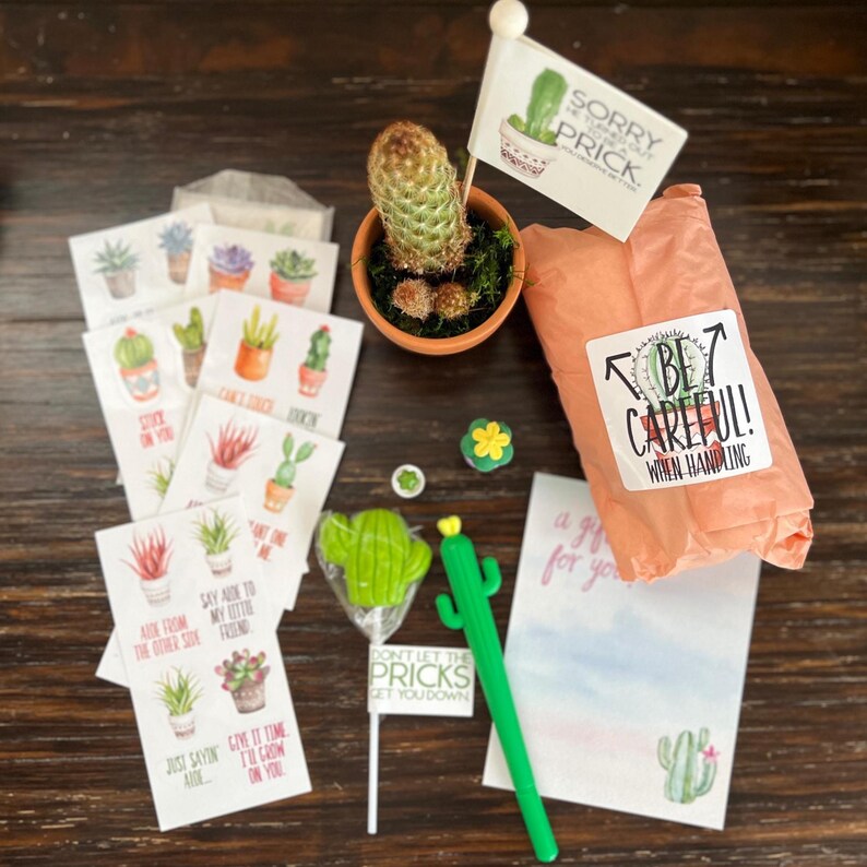 May include: A selection of cactus-themed gifts and stationery. Includes a small potted cactus, a lollipop, a pen, stickers, and a notepad. The notepad has a watercolor cactus design and the text "a gift for you". The package is wrapped in peach tissue paper with a sticker that says "BE CAREFUL! WHEN HANDLING".