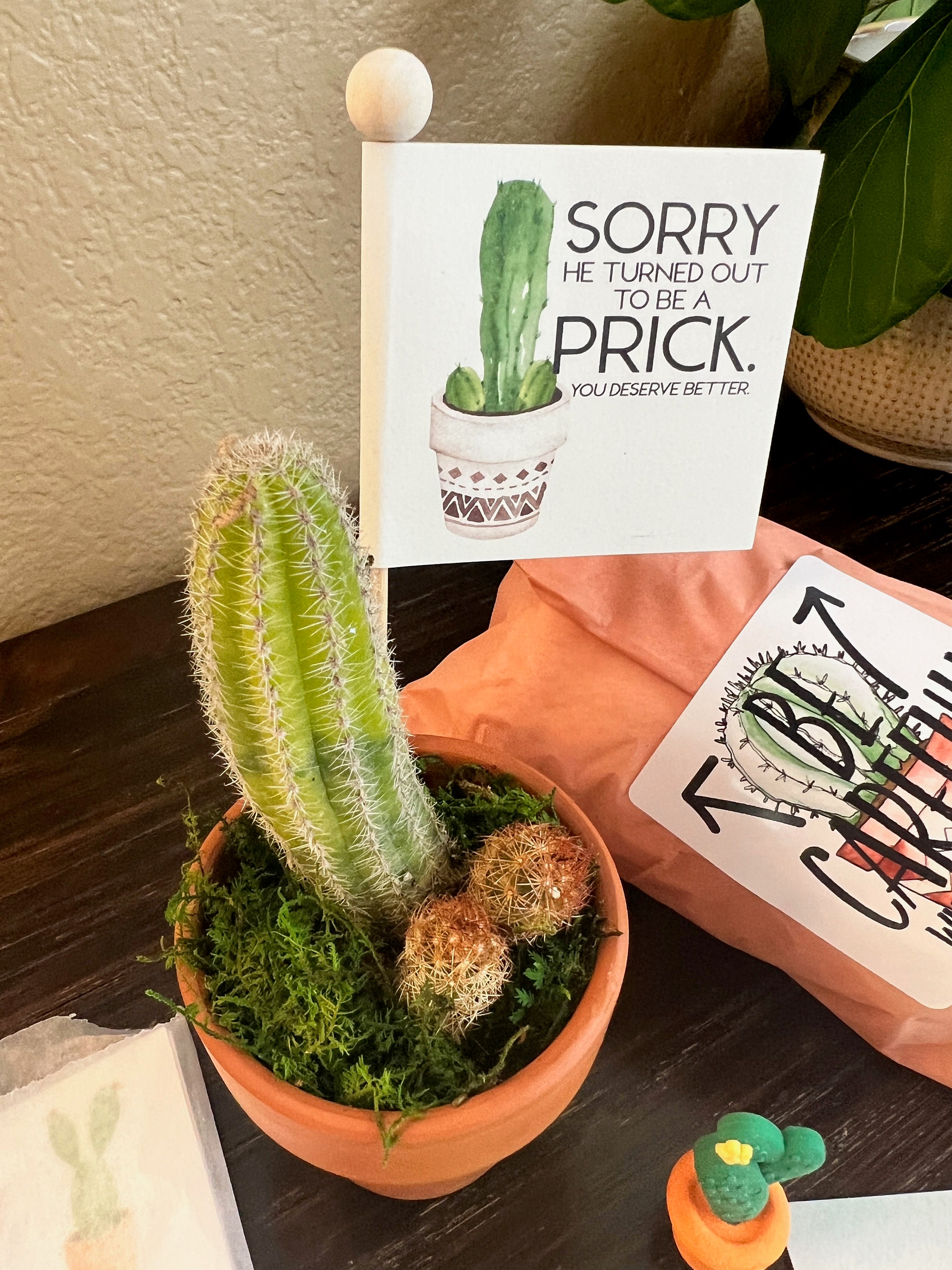 Sorry He Turned Out to Be a Prick, Cactus Pun Breakup Gift, Gift for  Divorce, Bad Break Up, Online Dating Sucks, Funny Care Package - Etsy.de
