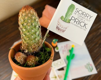 Cactus Breakup Gift, Cactus Prick Puns, Divorce Celebration, Break Up Care Package