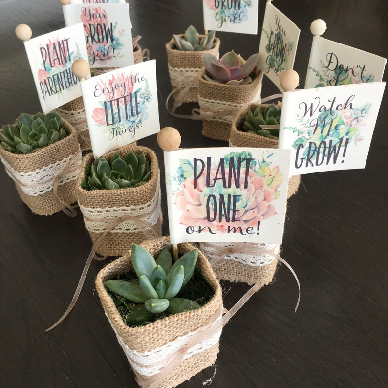 Succulent Baby Shower Favors with Plant Puns on Custom Tags // Etsy