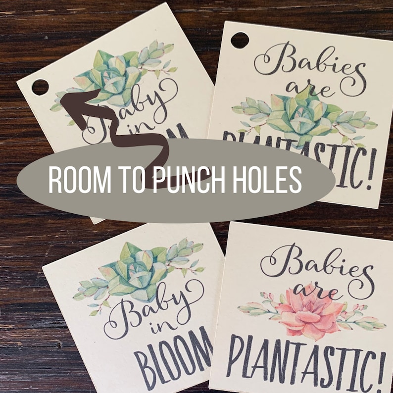 May include: Four square off-white paper tags featuring watercolor succulent illustrations. Two tags display the text 'Baby in Bloom' and two display 'Babies are PLANTASTIC!'. Each tag includes a pre-punched hole in the corner for hanging or attachment.