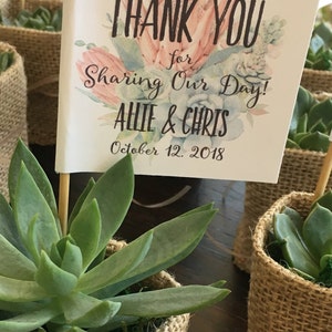 Succulent Wedding Favors with Personalized Tags, Love Plant Puns, Couple's Names, Customized Tags, Succulent Favors image 7