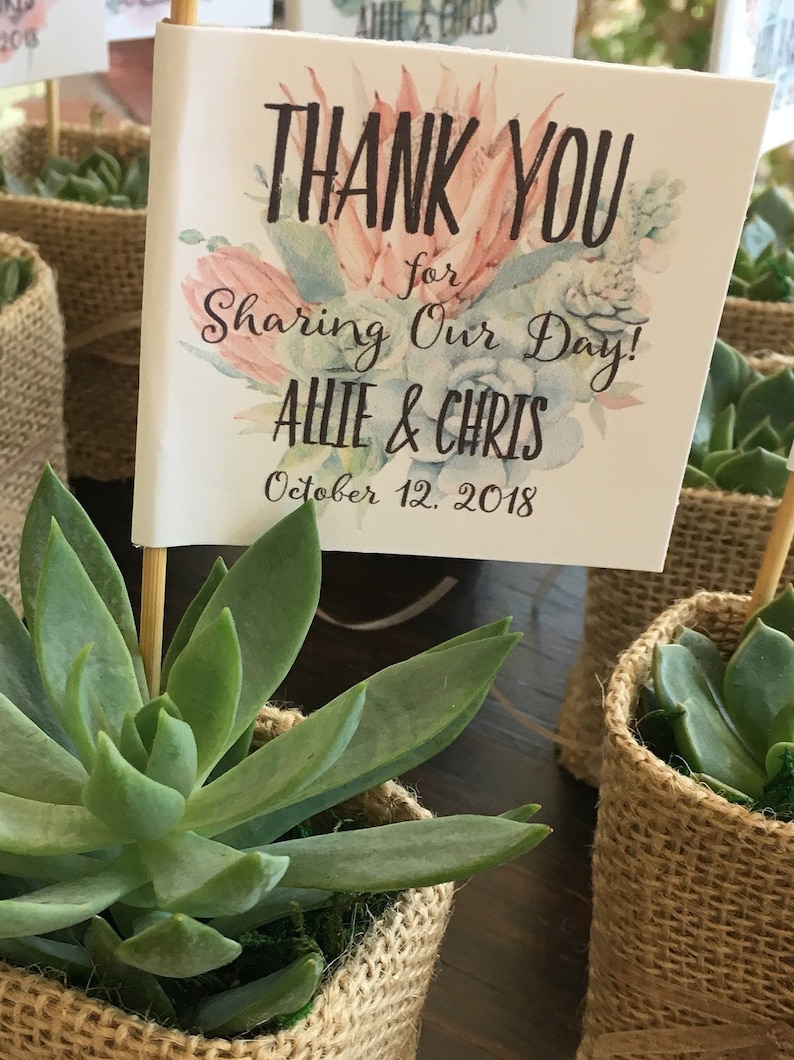 Succulent Wedding Favors with Personalized Tags, Love Plant Puns, Couple's Names, Customized Tags, Succulent Favors image 7