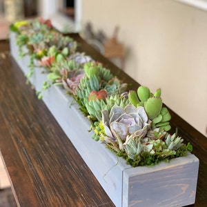 May include: A long, rectangular wooden planter box painted gray, filled with a variety of succulents and moss. The succulents display shades of green, red, and purple. The planter sits on a dark brown wooden surface.