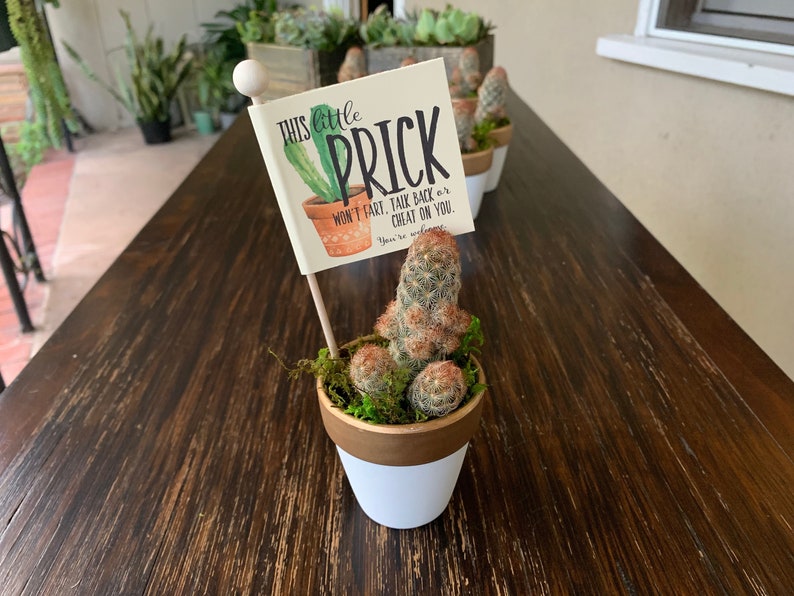 Breakup Prick in a Box, Cactus Pun Gift Box, Divorce Care Package, with Pun Stickers, Bad Break Up, Divorce Gift, Break Up Cactus image 1