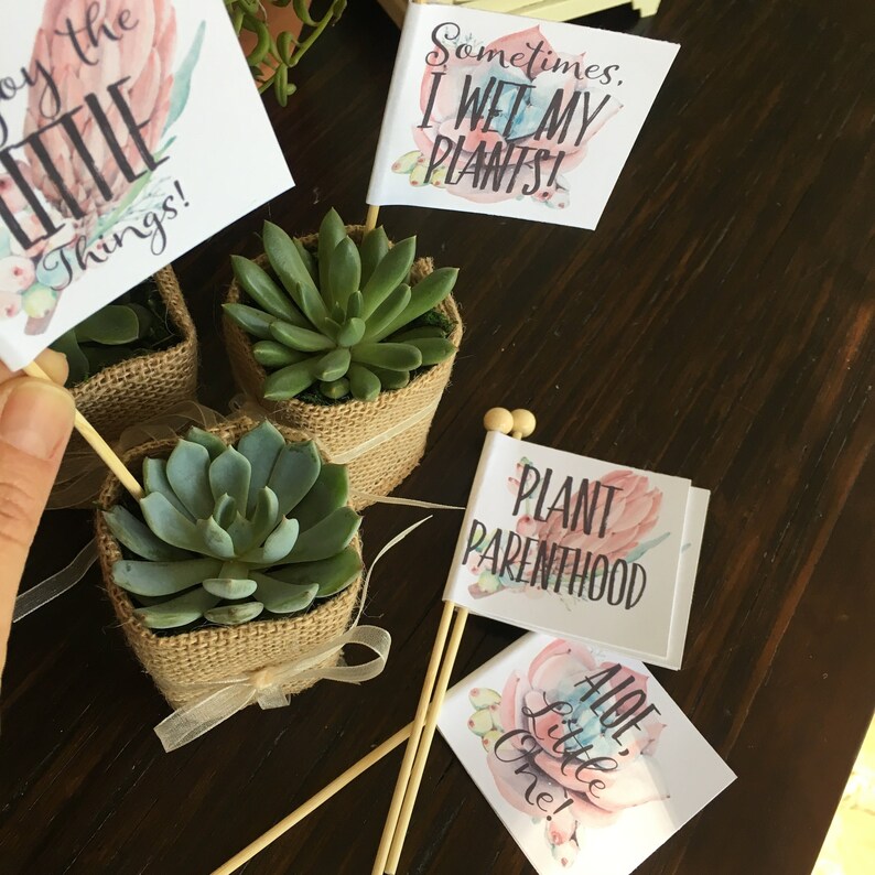 Baby Shower Favor Tags Plant Puns Personalized Custom Tags // Etsy