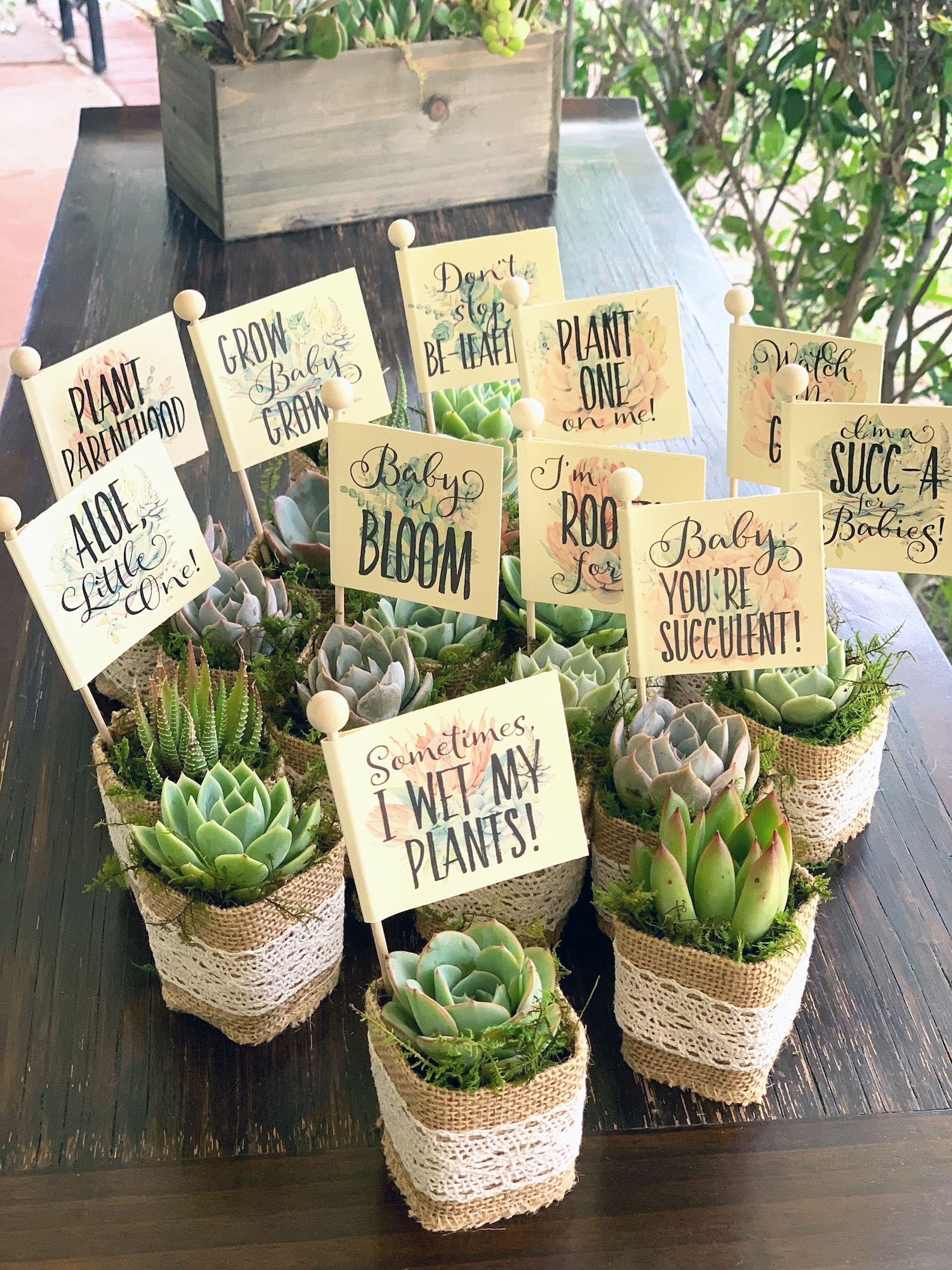 Customizable Baby Shower Favor Succulents With Funny Pun Tags Etsy Israel
