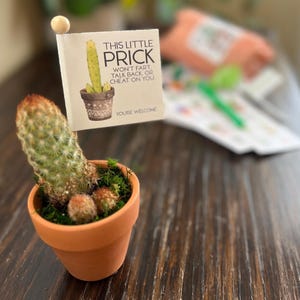 May include: A small potted cactus with a sign that reads "THIS LITTLE PRICK WON'T FART, TALK BACK, OR CHEAT ON YOU. YOU'RE WELCOME." The cactus is in a terracotta pot with green moss and small, round cacti.