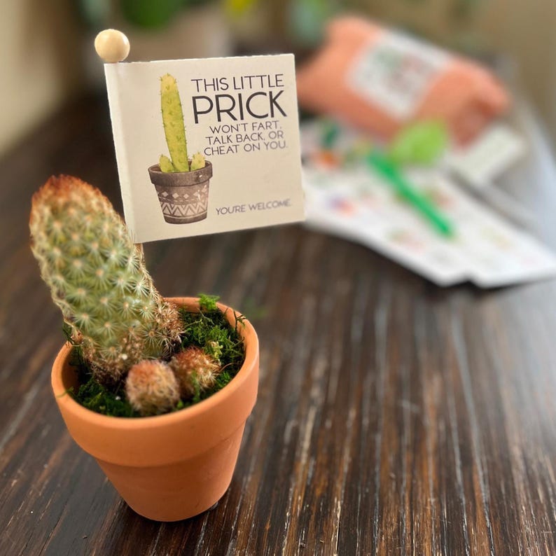 May include: A small potted cactus with a sign that reads "THIS LITTLE PRICK WON'T FART, TALK BACK, OR CHEAT ON YOU. YOU'RE WELCOME." The cactus is in a terracotta pot with green moss and small, round cacti.
