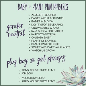 Baby Shower Plant Pun Tag Set, Succulent Theme, Printable