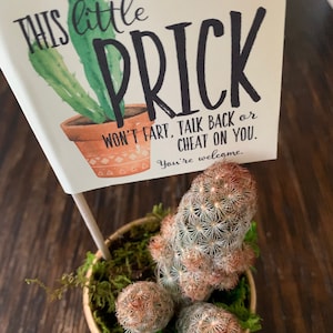 Breakup Prick in a Box, Cactus Pun Gift Box, Divorce Care Package, with Pun Stickers, Bad Break Up, Divorce Gift, Break Up Cactus image 7