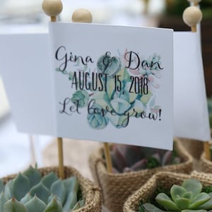 Succulent Wedding Favors with Personalized Tags, Love Plant Puns, Couple's Names, Customized Tags, Succulent Favors image 5