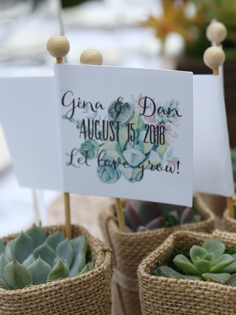 Succulent Wedding Favors with Personalized Tags, Love Plant Puns, Couple's Names, Customized Tags, Succulent Favors image 5