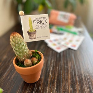 May include: A small terracotta pot with a cactus plant and a small card that reads "THIS LITTLE PRICK WON'T FART, TALK BACK OR CHEAT ON YOU. YOU'RE WELCOME." The cactus has a green body and a reddish-brown top.
