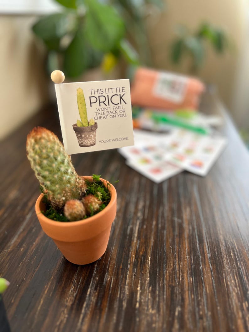 May include: A small terracotta pot with a cactus plant and a small card that reads "THIS LITTLE PRICK WON'T FART, TALK BACK OR CHEAT ON YOU. YOU'RE WELCOME." The cactus has a green body and a reddish-brown top.