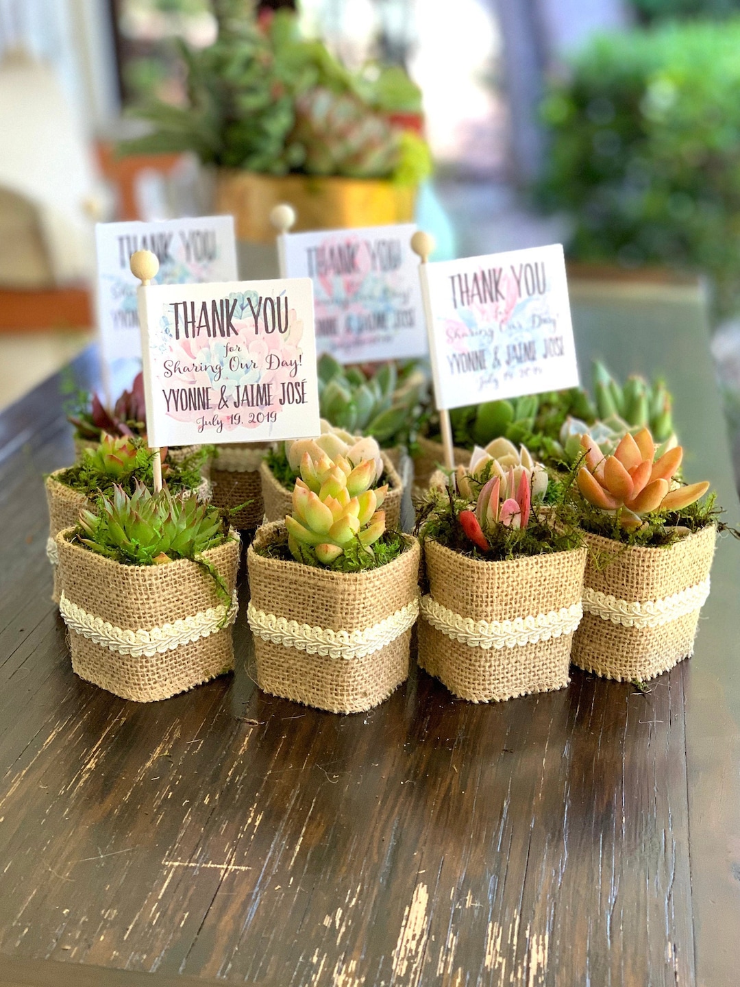 Wedding Favors, Succulent Wedding Favors, Customized Tags, Plant Puns