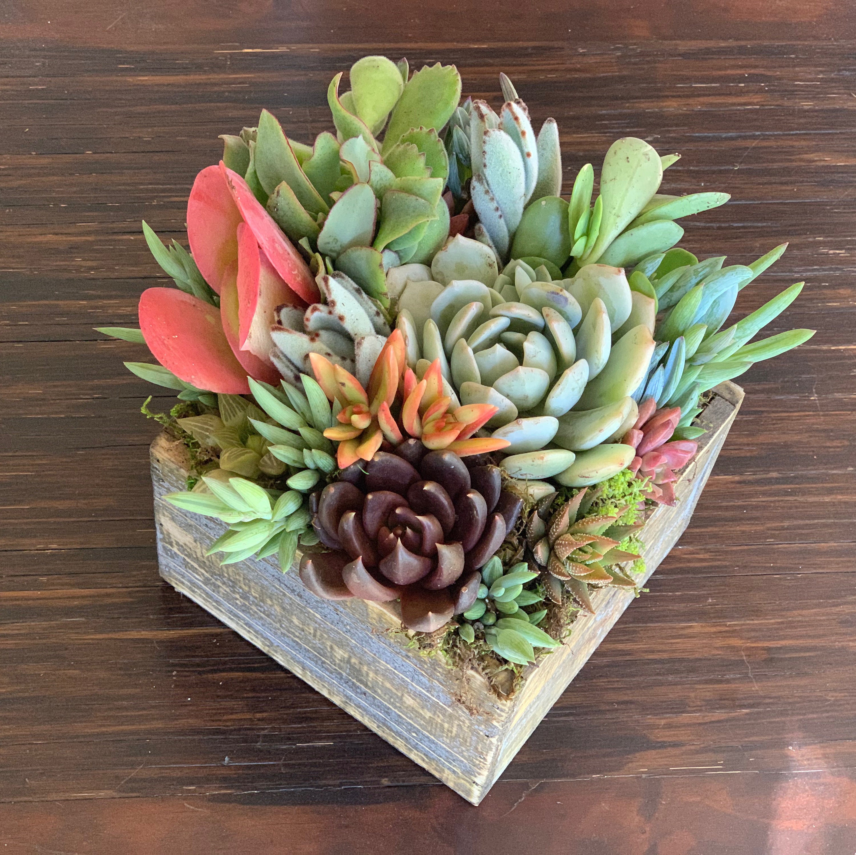 Engagement Succulent Arrangement, Custom Tag, Congratulations Newly Engaged  or Just Married - Etsy