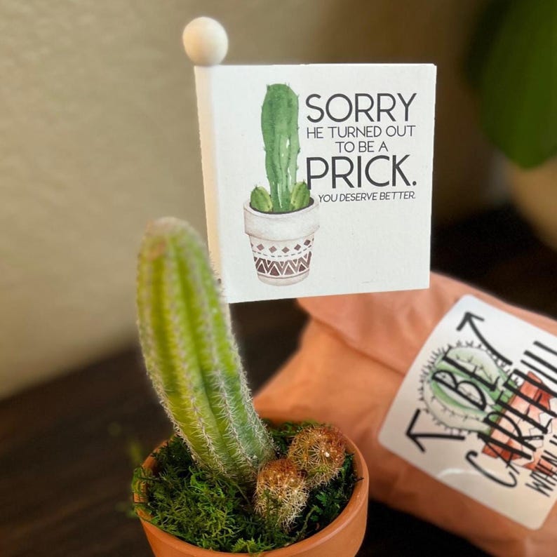 May include: A small potted cactus with a decorative flag that reads "SORRY HE TURNED OUT TO BE A PRICK. YOU DESERVE BETTER." The flag features a watercolour illustration of a cactus in a patterned pot. The cactus is in a terracotta pot.