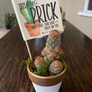 Breakup Prick in a Box, Cactus Pun Gift Box, Divorce Care Package, with Pun Stickers, Bad Break Up, Divorce Gift, Break Up Cactus image 6