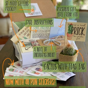 Breakup Prick in a Box, Cactus Pun Gift Box, Divorce Care Package, with Pun Stickers, Bad Break Up, Divorce Gift, Break Up Cactus image 2