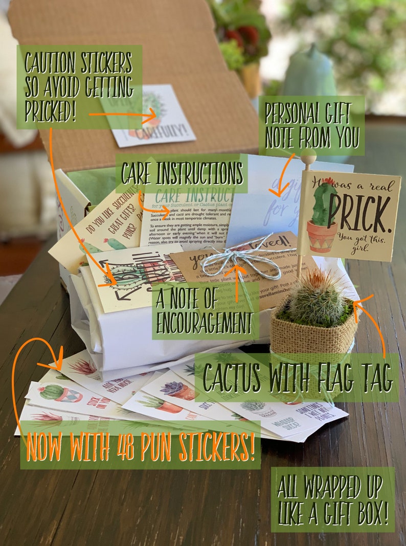 Breakup Prick in a Box, Cactus Pun Gift Box, Divorce Care Package, with Pun Stickers, Bad Break Up, Divorce Gift, Break Up Cactus image 2