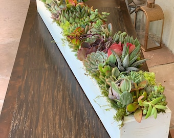 Spectacular Succulent Centerpiece, Long Handcrafted Wood Box, Succulent Home Decor, Low Profile Floral Dining Table Decor